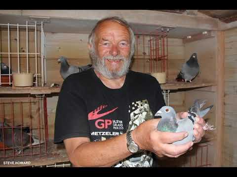 Video 453: Steve & Tessa Howard "The Full Monty" Photo Show: Premier Pigeon Racers