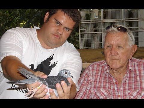 Naples Racing Pigeon Club! Races and Results - AU Homing Pigeon