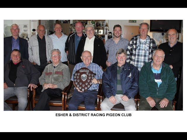Video 404: Esher & District RPC: Nine Times Federation Champions In Thirteen Years