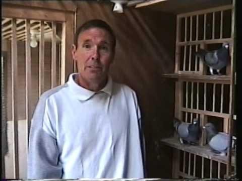 Video 280: Derek Human of Alton: Premier Pigeon Racer