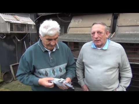 Video 216: The 'Italian Stallion' Loft Visit Tour 2013