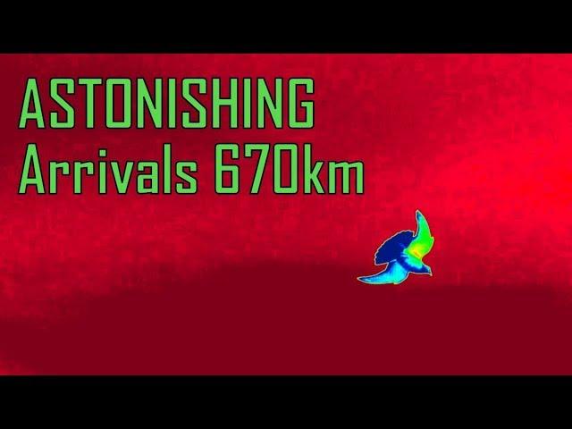 Vlog #58 ASTONISHING Arrivals From 670km 416miles