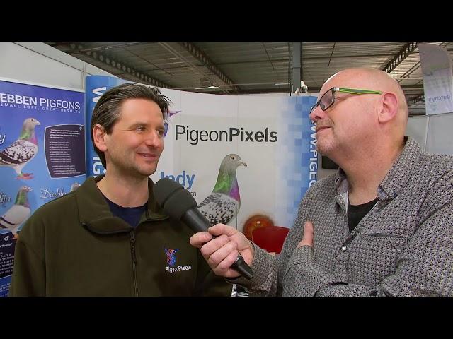 PigeonPixels at the Spring Exhitibion in Houten 2018