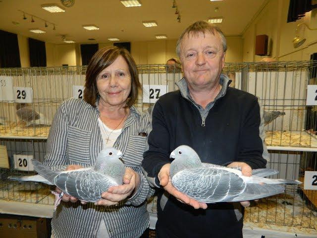 Video 371: RPRA Southern Region Pigeon Show: November 2017